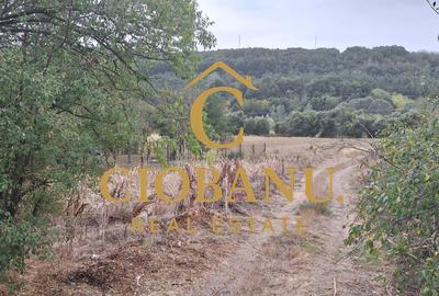 Teren Intravilan/Extravilan de vanzare in Bradestii Batrani - 1