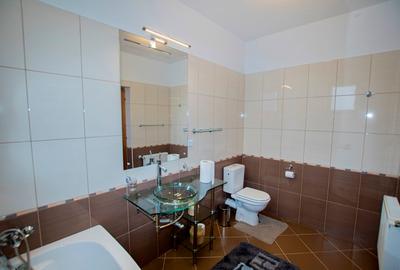 Fully furnished villa in Pipera - 26