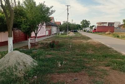 Vanzare Casa in localitatea Bodrogu Nou - 8