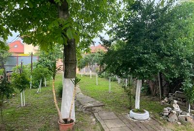 Casă individuală cu 2 camere în Vasile Aaron