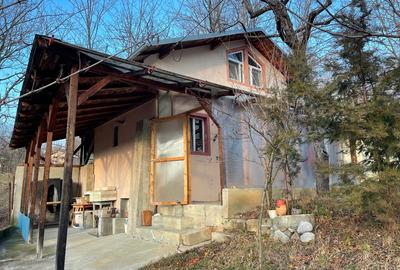 Vând casă Dp+P+M ,construcția C1 și terenul intravilan de 1265 mp - 12