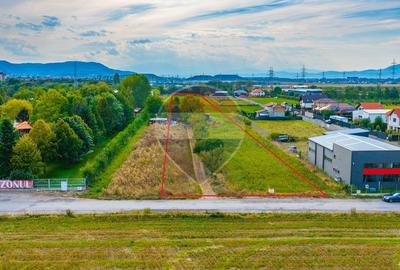 Teren Construcții intravilan de 11769 mp, în Sânpetru