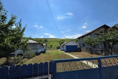 Teren 4800MP - Tomesti - La Soseaua Principala - 7