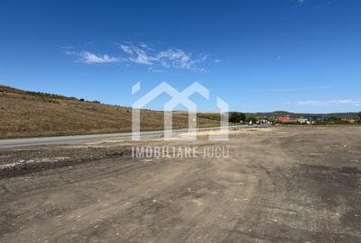 Teren Industrial 6300mp | Intrare din DN1 | Rascruci - 8