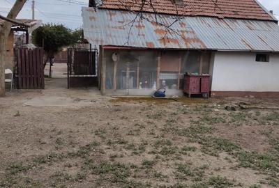 ##Casa in Comuna  Maracineni -Vanzare - 7