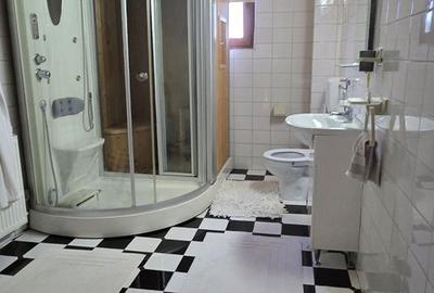 Vânzare Proprietate deosebita cu piscina, Gura Ocnitei Dambovita - 16