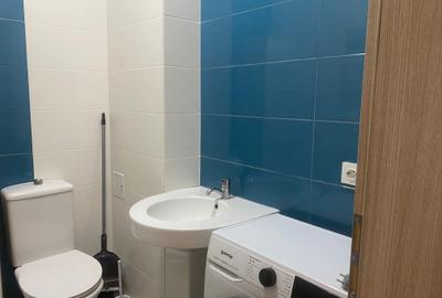 Inchiriere apartament 3 camere Metalurgiei- Cartierul Solar - 8