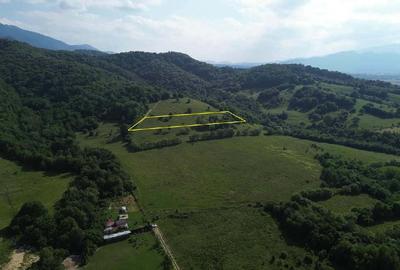Teren extravilan de 11000 mp, în Central