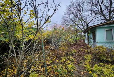 Teren 2200 mp + Casă, sat Frasinu, Giurgiu - 5
