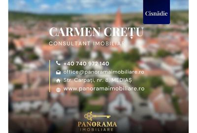 Casă cu grădină proprie, garaj, pivniță și teren în centrul Cisnădiei - 21