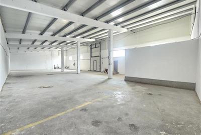 HALA RENOVATA, 364mp, PECO SERBANESTI - 2