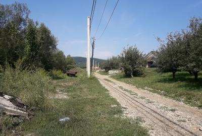 Vand 1000 mp,teren intravilan cu toate utilitatile in Bistrita  Str.Sigmirului - 1