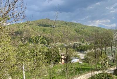 Teren plat, cu deschidere la lacul Paltinu, acces facil - 5