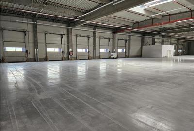 Spatiu Industrial - 3700 mp - Logistica - Productie - Depozitare - Distributie - 10