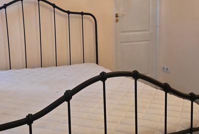 Nerva Traian, Apartament 2 camere in vila - 5