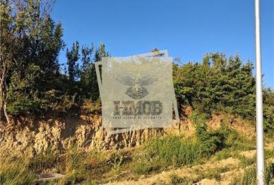 Teren intravilan 400 mp in Bungard Selimbar - 5