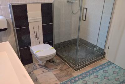 Apartament 4 camere in vila, mobilat si utilat modern zona Grivitei - 13