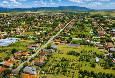 Casa de vanzare in Pancota, COMISION 0% - 22