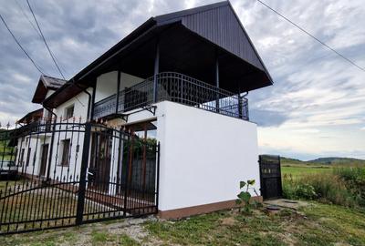 Casă individuală cu 6 camere în Iancu Jianu
