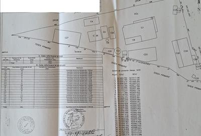 Fabrica de prelucrarea lemnului Valea Buzaului. - 20