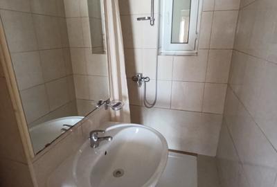 Inchiriere apartament cu 3 camere cu vedere la Sala Palatului - 12