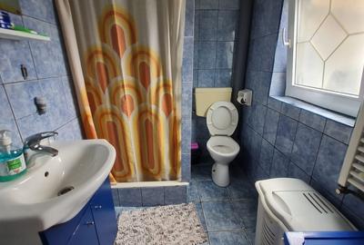 Casa formata din doua apartamente, cu curte de 450 mp, in zona Trei Stejari - 11