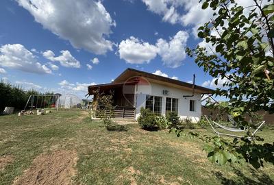Căsuța din livadă, Ciofliceni (IF) | 4 dormitoare, 1.000 mp teren - 2