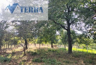 Casă și anexă gospodărească - Teren 2.700 mp - Coșești, Argeș - 6