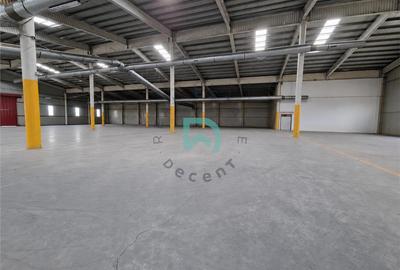 Hala de vanzare, productie, depozitare, desfacere, show-room - 4