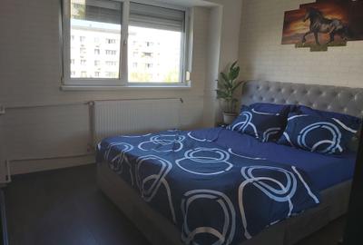 3 camere Iancului Pet friendly - 11