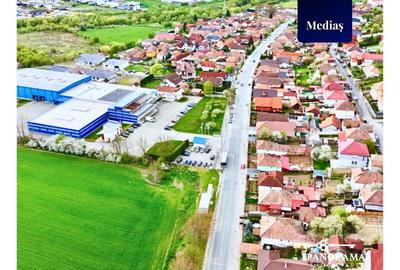 Teren intravilan de 10300 mp de vânzare Mediaș - 8