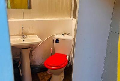 Spatiu comercial stradal, pozitie strategica – N. Balcescu, zona Piata Centrala - 16
