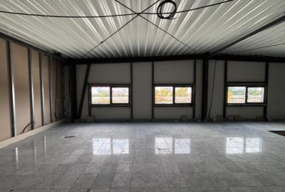 Hală industrială nouă depozitare de inchiriat Zona Industrială Sânandrei DN69 - 9
