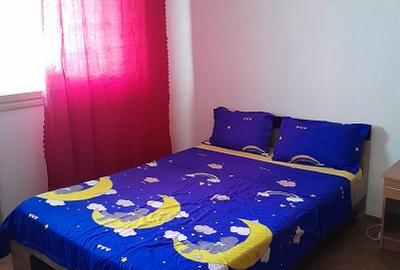 Apartament cu 2 camere semidecomandat în Bucureștii Noi