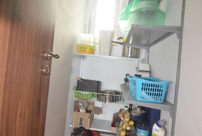 Apartament decomandat cu garaj in zona Balcescu - 19