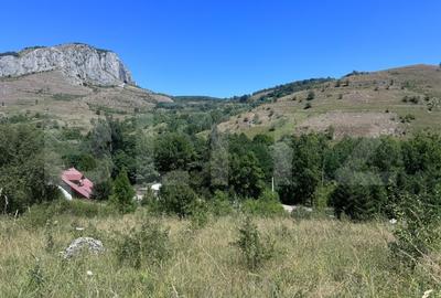 Teren extravilan de 6000 mp, în Aiudul de Sus