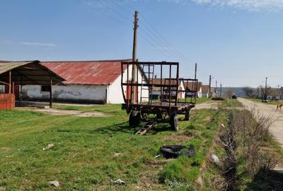 Teren agricol extravilan de 79106 mp, în Exterior Est