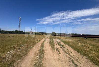 Teren Construcții de 3100 mp, în Ițcani