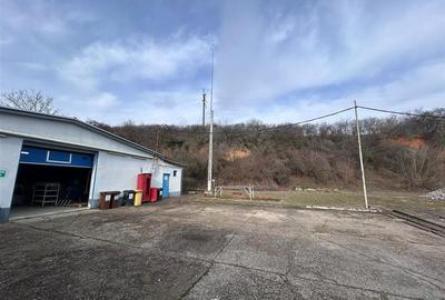 Hala industriala de vanzare in Marghita – 650 mp hala + birouri 200 mp, teren 34 - 19
