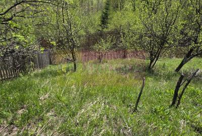 Teren cu Casuta de lemn in Sotrile (langă Valea Doftanei) - 14