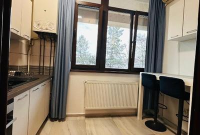 închiriere apartament cu o cameră - 4