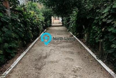 Vila 7 camere -Hala Traian Bucuresti - 16