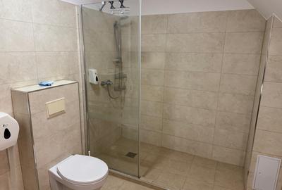 Apartament 2 camere mobilat si utilat modern zona Str. Lunga - 9