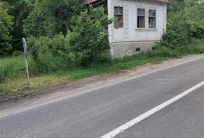 Domeniu verde autentic,  +5.000mp, front la DJ, Valcele, Brasov -- Covasna - 6