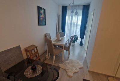 Apartament 1 camera, Zona Aradului, Mobilat si Utilat complet, Loc Parcare+Boxa - 4