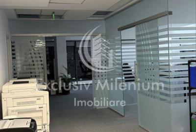 Spatiu de Birouri Caramfil - Herastrau - 3