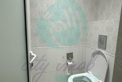 Spatiu Comercial CALEA MOSILOR - 10