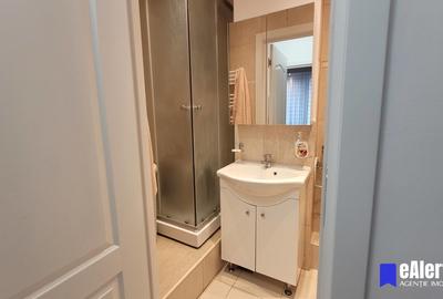 Apartament 2 camere, ultracentral, Str. Ion Campineanu, Sala Palatului! - 14
