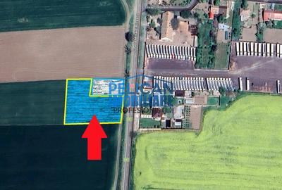 Teren intravilan M. Kogalniceanu, 4000MP, la drumul national - 9