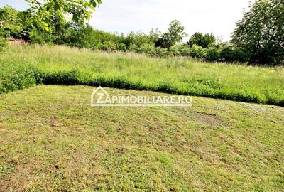 Casa 3 camere,102 mp, 1330 mp teren, 0% comision - 10